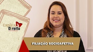 Explica Direito Filiação Socioafetiva  2019 [upl. by Asseralc931]